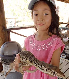 家族で楽しむシェーンによるケアンズ発、日本語ツアー、動物体験