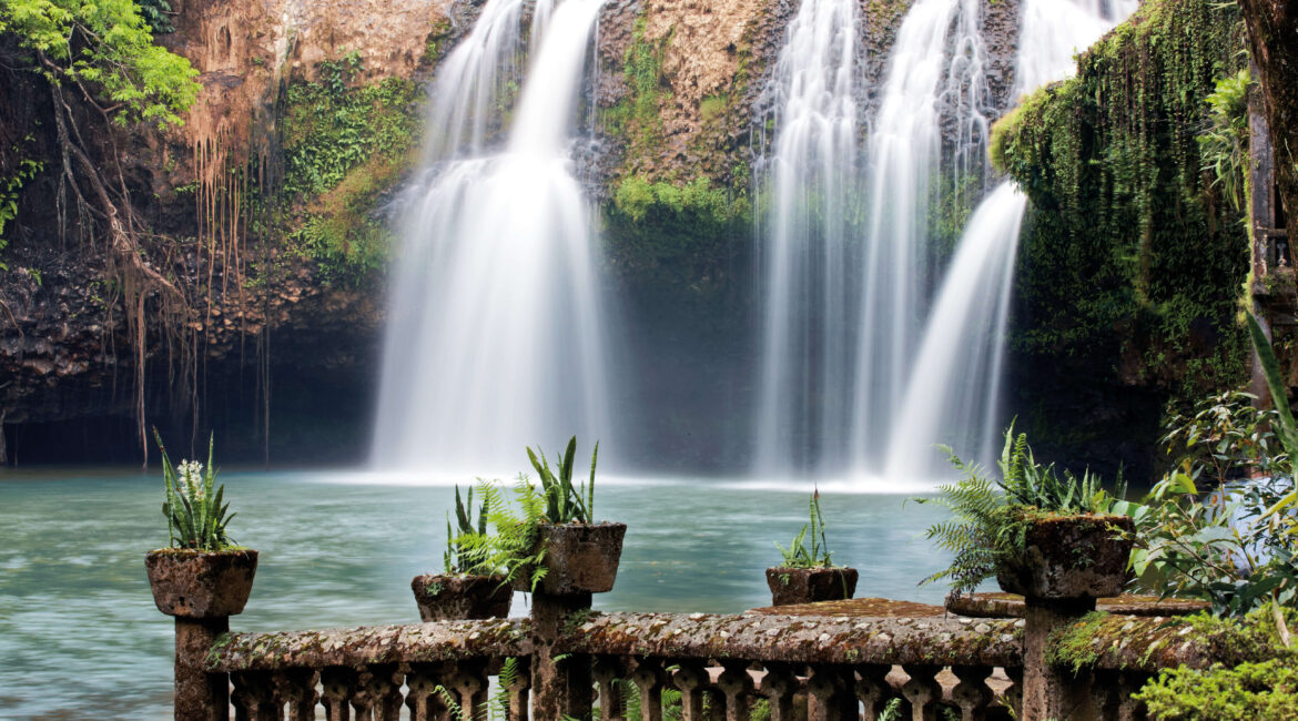 ケアンズ発日本語オプショナルツアー パロネラパーク日本語ツアー