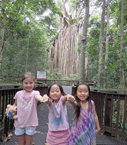 家族で楽しむシェーンによるケアンズ発、日本語ツアー、カーテンフィギュツリー