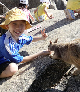 家族で楽しむシェーンによるケアンズ発、日本語ツアー、ロックワラビー