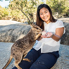 ケアンズ日本語オプショナルツアー
