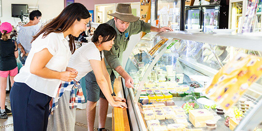 シェーンのアサートン高原日本語ツアー