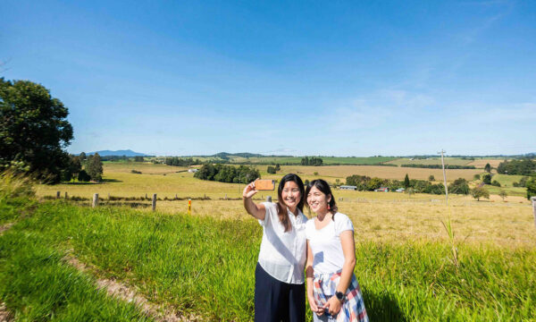 ケアンズ発、日本語アサートン高原ツアー